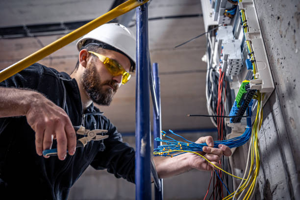 Best Electric Panel Repair  in Lee Acres, NM